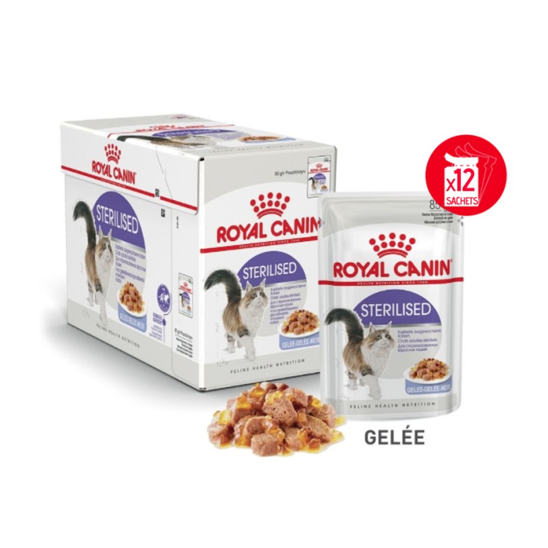 Terrines pour chat stérilisé Royal Canin - Animaux-Market