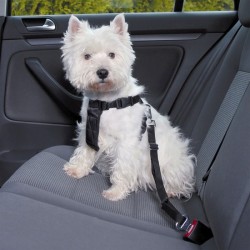 Harnais de sécurité pour voiture DOG Safe